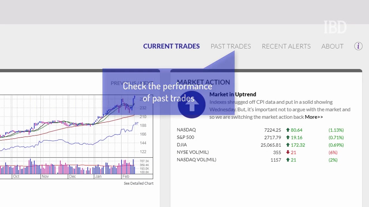 What Is Ibd In Stocks