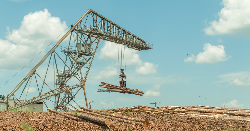 These Companies Wanted Tariffs. How Are They Faring Now?