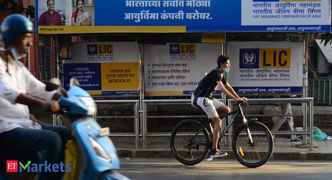 LIC IPO: Govt may review timing of LIC IPO after